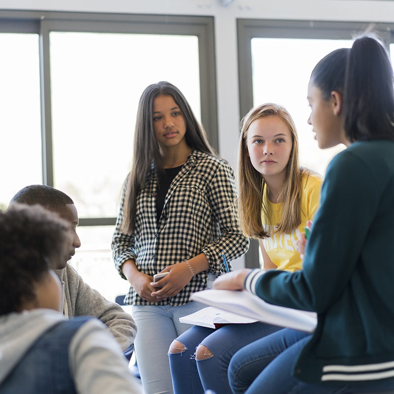 High school students are discussing against window.