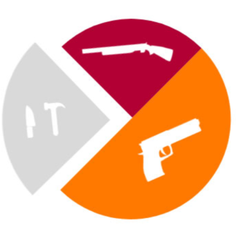 Pie chart depicting gun violence